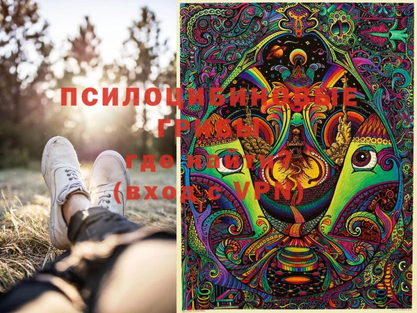 винт Дмитриев