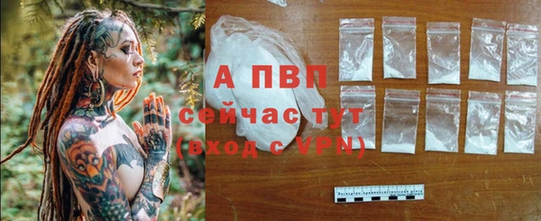 винт Дмитриев