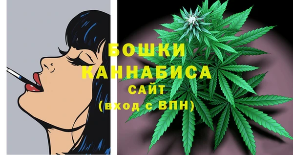 метадон Елизово